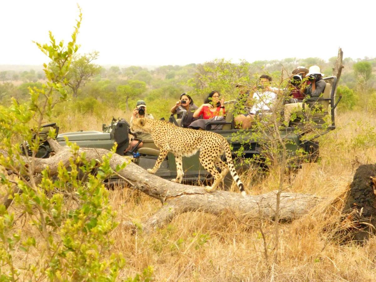 Umkumbe Safari Lodge Riverside Скукуза Екстер'єр фото