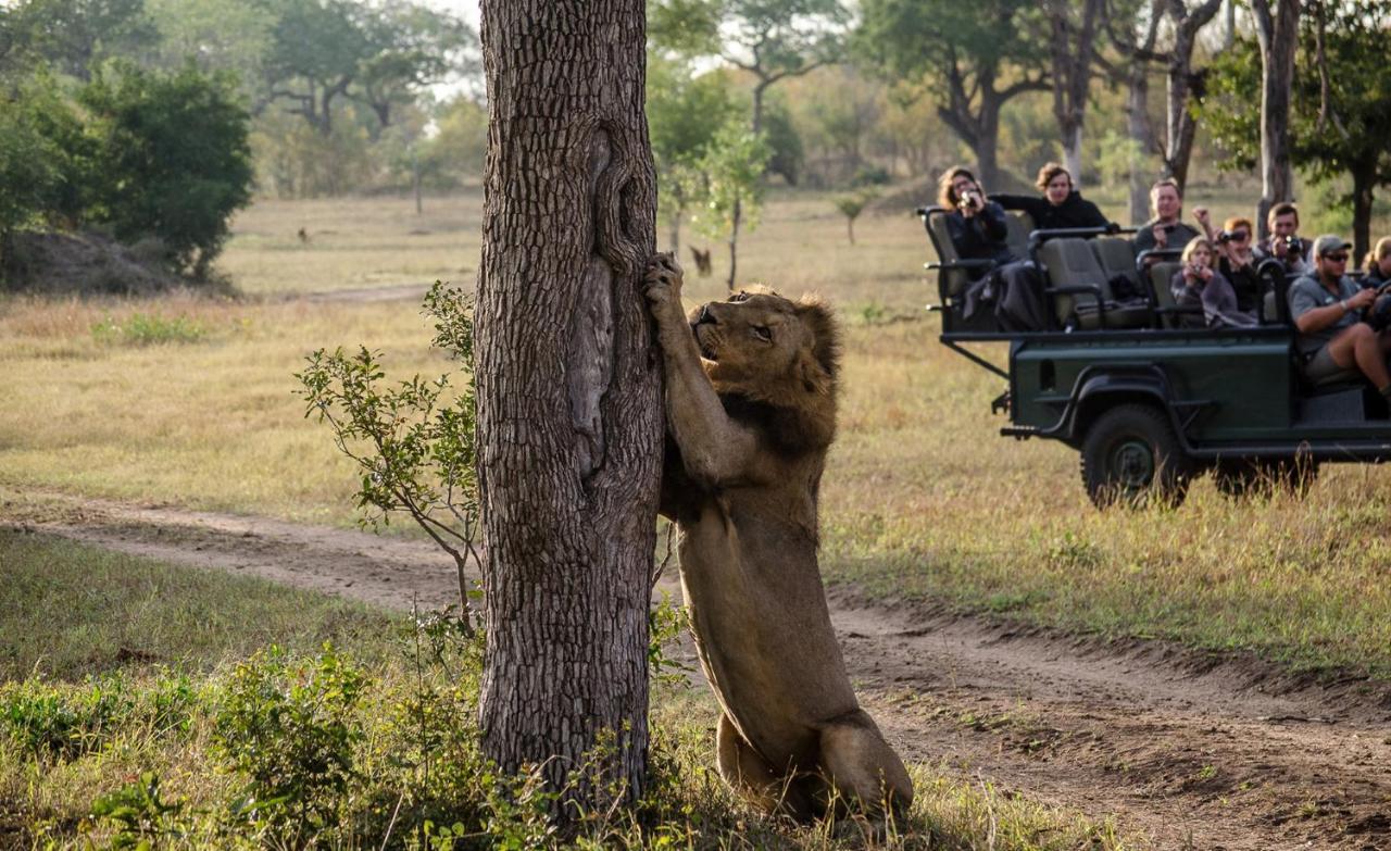 Umkumbe Safari Lodge Riverside Скукуза Екстер'єр фото